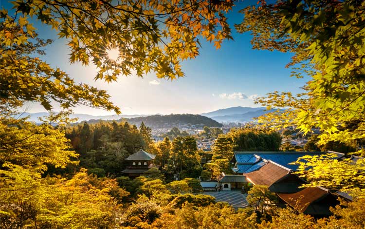 お葬式で菩提寺（お付き合いのある寺院・お墓がある寺院）が遠方にある場合